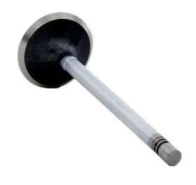 Enginetech 707473086219 Chrome Stem Intake Valve Pack Of 1