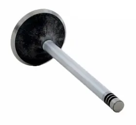 Enginetech 707473086479 Chrome Stem Intake Valve Pack Of 1
