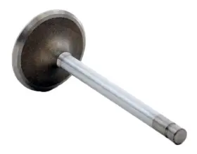 Enginetech 707473086554 Chrome Stem Intake Valve Pack Of 1 Direct Fit