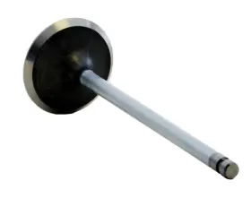 Enginetech 707473087513 Chrome Stem Intake Valve Pack Of 1 Direct Fit