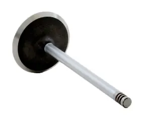 Enginetech 707473836715 Chrome Stem Intake Valve Pack Of 1