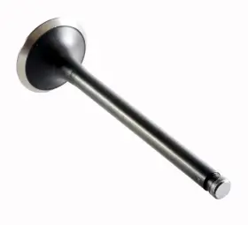 Em2003 Enginetech Chrome Stem Exhaust Valve Pack Of 1