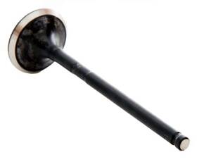 Enginetech Em4389 Nitrided Stem Exhaust Valve Pack Of 1 Direct Fit