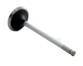 Im2724 Enginetech Chrome Stem Intake Valve Pack Of 1 Direct Fit