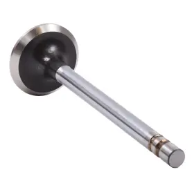 V1923b Enginetech Chrome Stem Exhaust Valve Pack Of 1 Direct Fit