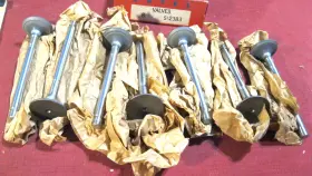 C2az-6505-a Ertel New 1961-1976 Ford Exhaust Valve Lot 7 Pieces V8
