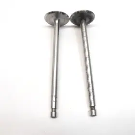 S302 Essex 1925-1931 Intake Valve Nors Pair 1 Is Jadson Other Thompson #v302