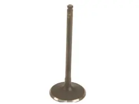 66658dscb Eurospare For 2002-2008 Jaguar X Type Intake Valve 2003 2004 2005 2006 2007