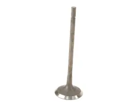 Cp81k1 Eurospare Exhaust Valve For Vanden Plas Xj8 Xk8 Xjr S Type Xf Xk Super V8 Xkr
