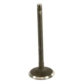 W0133-1651774-esp Eurospare For Land Rover Freelander 2002-2005 Intake Valve