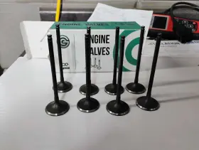 Mr20de Evergreen 847308073639 Intake Valves Fit 07-12 Nissan Sentra Versa Cube 1.8 2.0 Mr18de