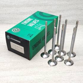 Evergreen Ev10516 Engine Exhaust Valve Set 8 Piece