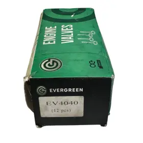 Ev4040 Evergreen Engine Valves - Sealed 12-piece Set Oe Quality