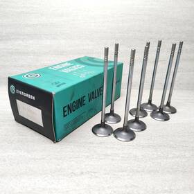Evergreen Iv10516 Engine Intake Valve Set 8 Piece