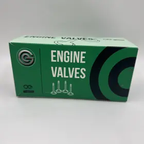 Iv4040 Evergreen Engine Valves - Sealed 12-piece Set Oe Quality