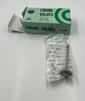 Iv5005 Evergreen Box Of 8 Genuine Engine Valve Gray