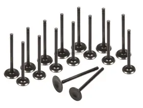 Sa-7308073448 Evergreen Intake Exhaust Valves Fit 94-02 Honda Accord Odyssey Acura Cl F22b1 F23a1 F23a4