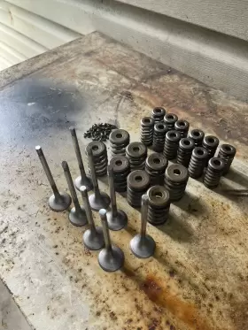 450000127wt Factory/oem Engine Valves Intake And Exhaust Spring 6mm For Audi A4 Vw Mk4 Jetta 1.8t 2.0t