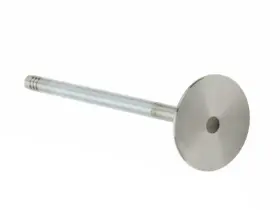 13gzyc18 Febi Intake Valve For 325i X5 325ci 325xi 330ci 330i 330xi 525i 530i X3 Z3
