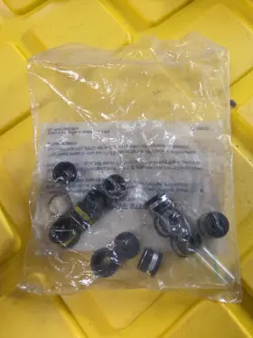 5p-00556 Fel-pro Sealed Bag Of 12 - 5p 00556 Viton Valve Stem Seals