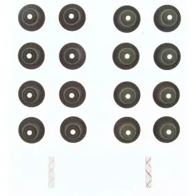 Ss-72917 Fel-pro Ss 72917 Valve Stem Oil Seal Set
