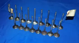 F105a040 Ferrari 82 83 84 85 F150as 308 Mondial 2.9l Tipo V8 Lot Of 17 Engine Intake And Exhaust Valves Oem