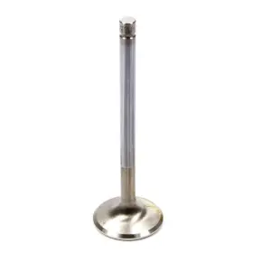 F1097p-1 Ferrea Sbc C/p Hs 1.600 Exhaust Valve 11/32