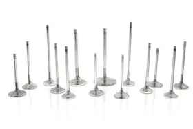 F1933p Ferrea Fer Comp Plus Int Replacement Valve - Sets