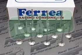 F1934p-12 Ferrea Competition Plus Intake Valves 35.15mm 1mm Rb25det Neo Skyline