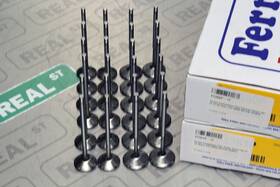 Ferrea F2361p/f2360p Competition Plus Std Intake And Exhaust Valves Set Bmw M3 E46 S54b32