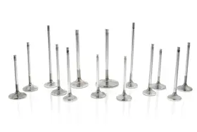 F2405p Ferrea Fer Comp Plus Int Replacement Valve - Sets