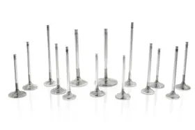 F2426p Ferrea Fer Comp Plus Int Replacement Valve - Sets