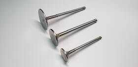 Ferrea F2428p For Bmw S55 Performance Valve Set - 28mm Intake 21 Taper-flo Design
