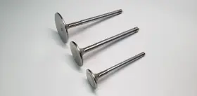 F2428p Ferrea For Bmw S55 Performance Valve Set - 28mm Intake 21 Taper-flo Design