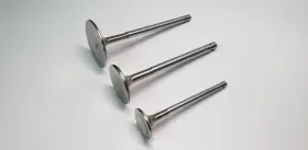 F2429p Ferrea