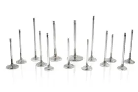 F2430p Ferrea 28.mm 5.96mm 99.8mm 21 Deg Tpr Flo Std Comp Plus For Toyota Supra B58