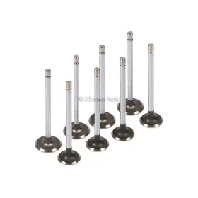 289-302-3 Ferrea F5020 Intake Valves Hdia 2.020 11/32 5.03 Fits 60-12 Ford Windsor