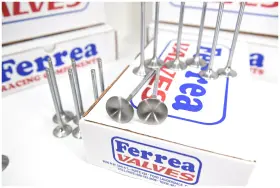 F5021 Ferrea 5000 Series Intake Valves 2.080 11/32 4.91 Chevy Sbc 283 327 350 400