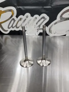 F5047 Ferrea 2- 5000 Series Intake Valves 2.02 11/32 4.96