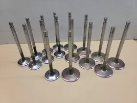 F5500-f5502 Ferrea 2.020 Intake 1.625 Exhaust Valve Set. F1118 F1108 11/32 Stem. High Perfor