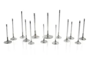 F6026 Ferrea