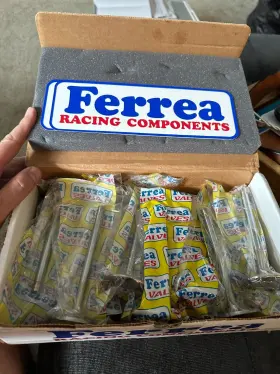 F6111 Ferrea 1.940 Chevy Intake Valves 11/32 Stems And 4.960 In Length