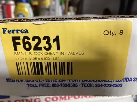 F6231-8 Ferrea Intake Valve Set Competition .3135 X 4.9 2.02 For Chevy Ls1
