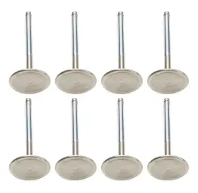 F6249-8 Ferrea Sbm C/6 2.020 Intake Valves 3/8 X 4.980