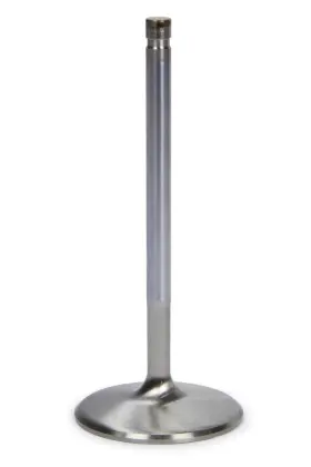 Ferf2369p Ferrea Bbc C/p 2.350 Intake Valve F2369p