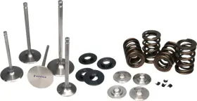 Kt4011 Ferrea Dual Spring Kit For Honda S2000