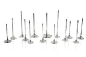 F1554p-1 Ferrea Racing Components Audi/vw 1.8t 20v 29.9mm 5.96mm 103.92mm 26 Deg Flo Stk Trip Grv Comp Plus