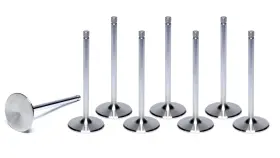 F1884p-8 Ferrea Racing Components Sbc C/p 2.200 Intake Valves