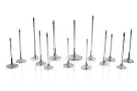 Ferrea Racing Components F1962p Gm Ecotec 31.1mm 5.96mm 101.5mm 22 Deg Flo 1mm Competition Plus Exhaust