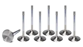F6307-8 Ferrea Racing Components Sbc C/6 2.140 Intake Valves